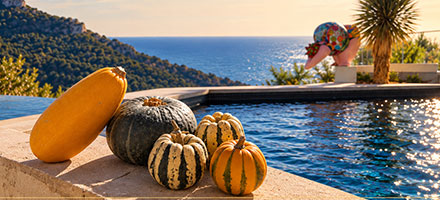 Halloween Special Sunday Brunch<br /> Sunday 1 November 2026